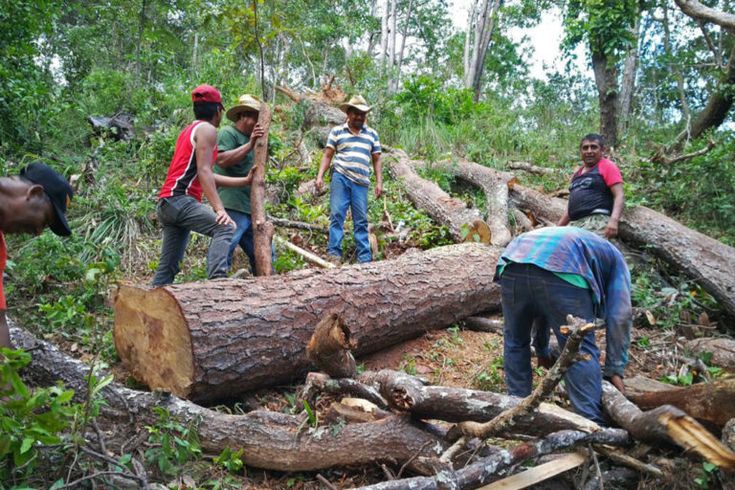 Environmental Management